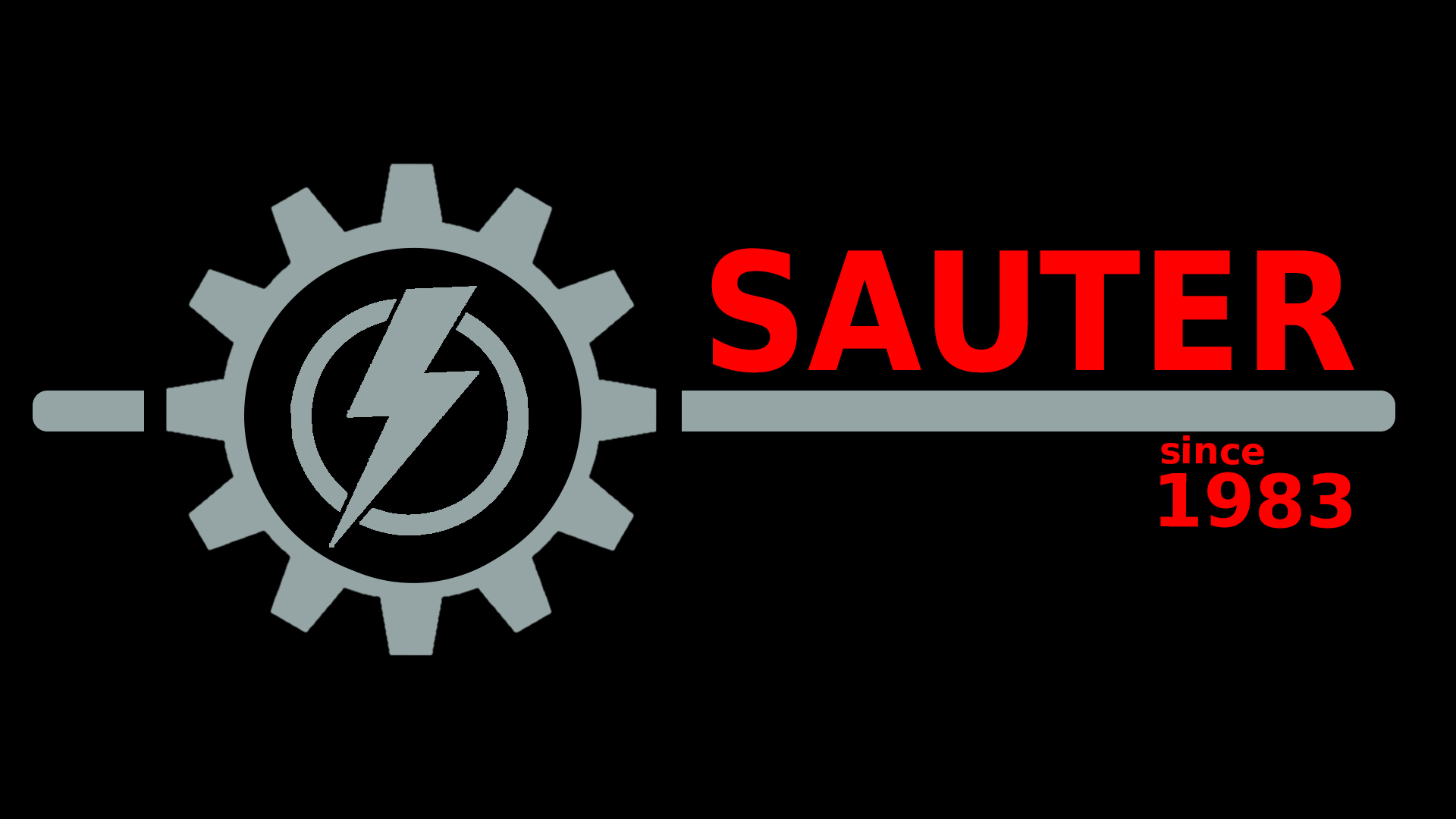 (c) Sauter-elektro.de